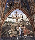 Bernardino Pinturicchio Susanna and the Elders painting